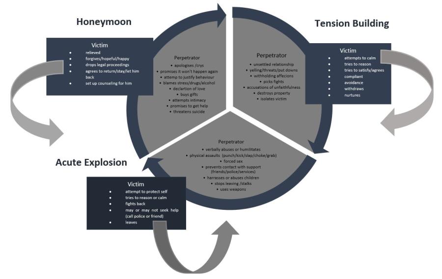 stages of abuse cycle